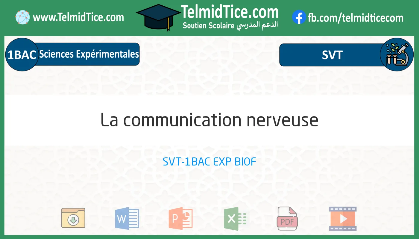 1bac-exp-s2-b-La-communication-nerveuse