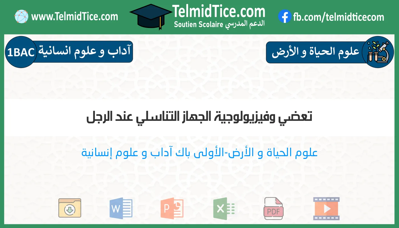 1bac-lettres-hum-s1-a-تعضي-وفيزيولوجية-الجهاز-التناسلي-عند-الرجل