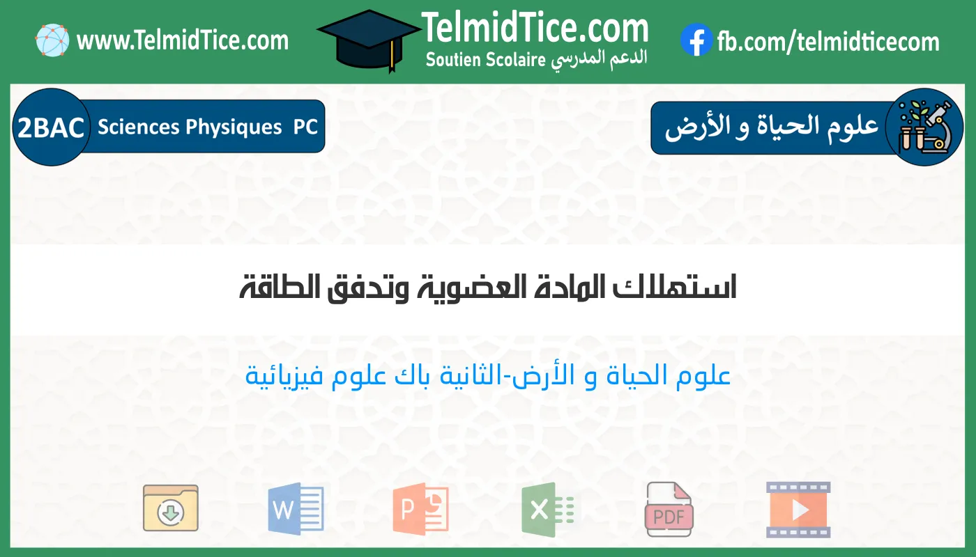 2bac-pc-s1-a-استهلاك-المادة-العضوية-وتدفق-الطاقة