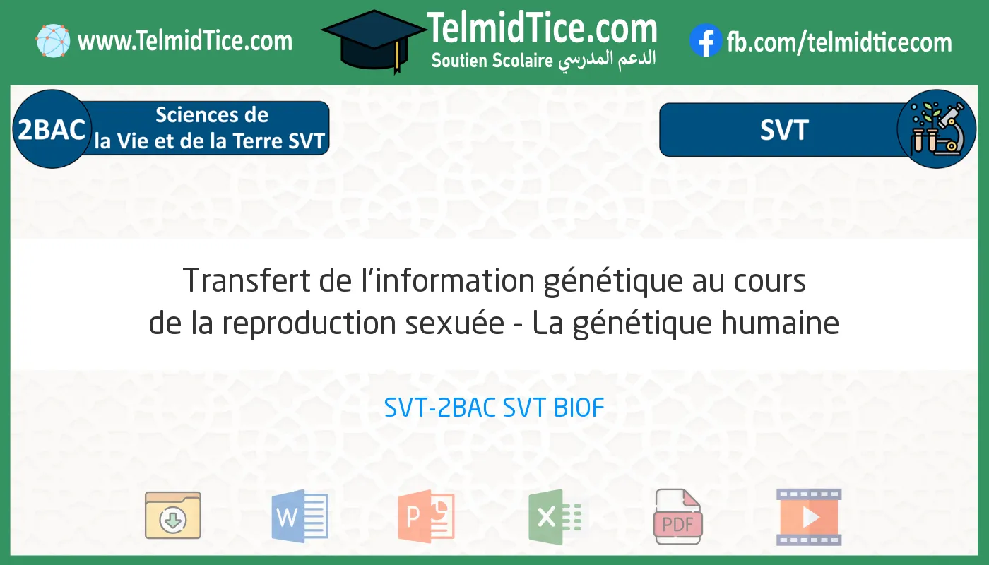 2bac-svt-s1-c-Transfert-de-l'information-génétique-au-cours-de-la-reproduction-sexuée---La-génétique-humaine